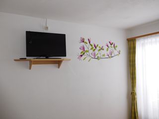 Fernseher