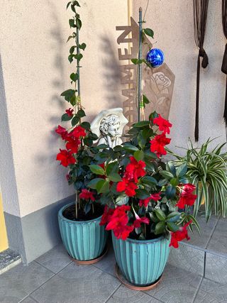 Blumen