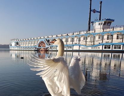Schiffstour auf den Oberhavelseen Abfahrt: Tegel, Greenwichpromenade Ermäßigt (Schüler/Student)