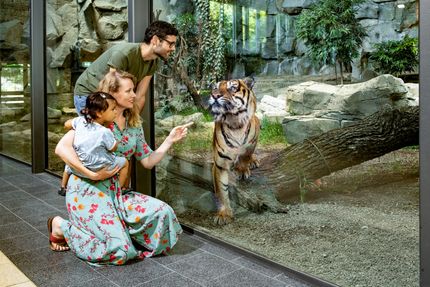 Tageskarte: Tierpark Berlin Erwachsener
