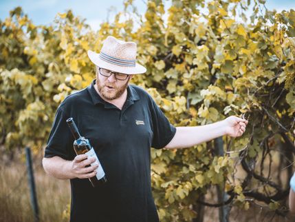 Erlebnistag in den Sächsischen Weinbergen - Erwachsene(r)