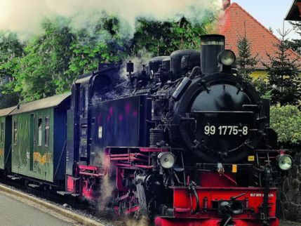 Federweisserzug - mit dem sausenden Hefeballet im Lössnitzdackel - Erwachsene(r)