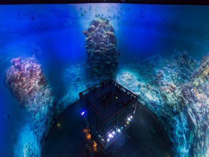 Eintritt Panometer Dresden "Great Barrier Reef" - Kind(er) 0-5 Jahre
