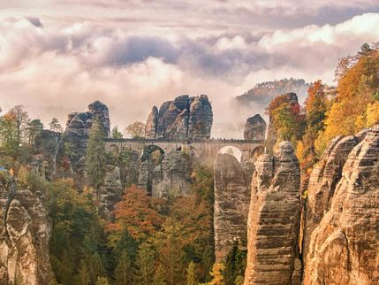Geführte Bustour in die Sächsische Schweiz (mit Alaska-Seelachs) - nur in ENGLISCH - für FIB-Gäste 2027