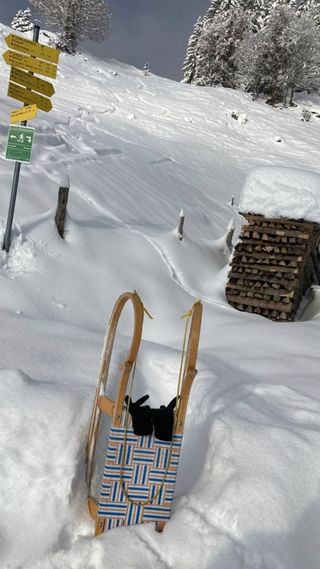 Rodelbahn zur Hutzenbalm