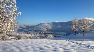 Golfplatz im Winter