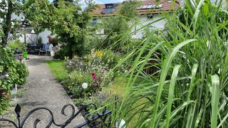 Blick in den Garten.jpg