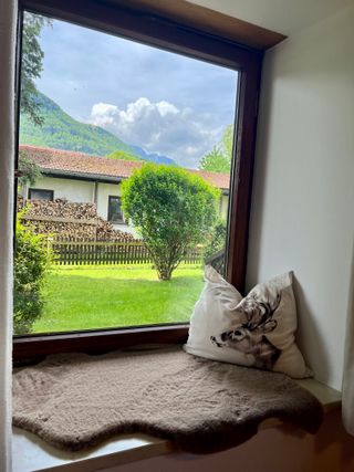 Lieblingsplatz am Fenster