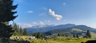 Ausblick auf die Winklmoos-Alm mit Steinplatte