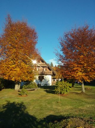 Im Herbst