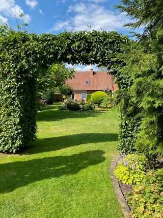 Grüner Garten