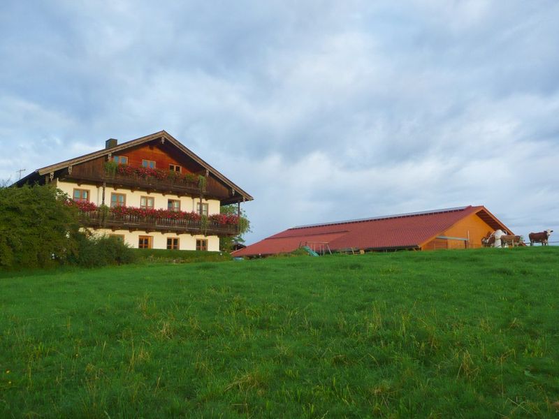 thalerhofknigsdorf thalerhofknigsdorf