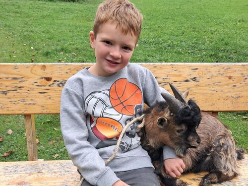 Ziege Bubbi genießt  die Schmuse Stunde