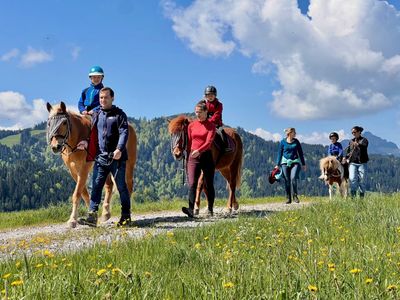 Reiten mit Ausblick