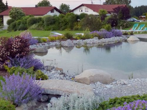 Unsere Schwimmteich Unsere Schwimmteich