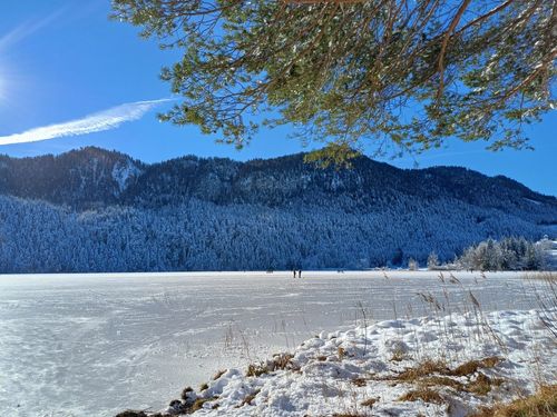 Weissensee Weissensee
