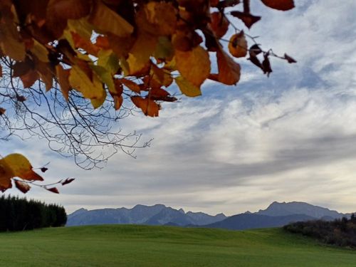 Herbst Herbst