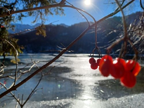 Weissensee im Winter Weissensee im Winter