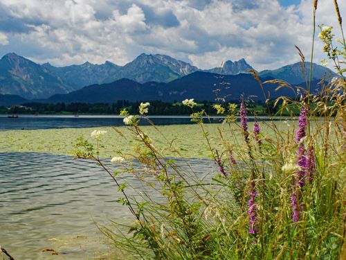 Hopfensee Hopfensee