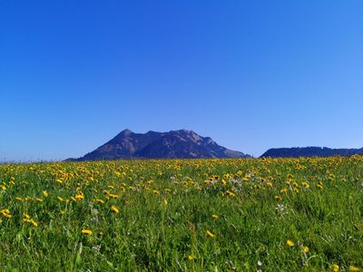 Frühlingsgefühle rund um den Ferienhof Stiefel