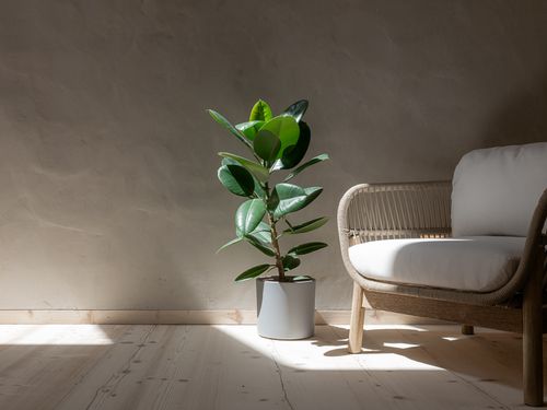 wolfeicherhof-details-sessel wolfeicherhof-details-sessel