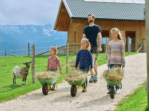 Heu für die Tiere holen