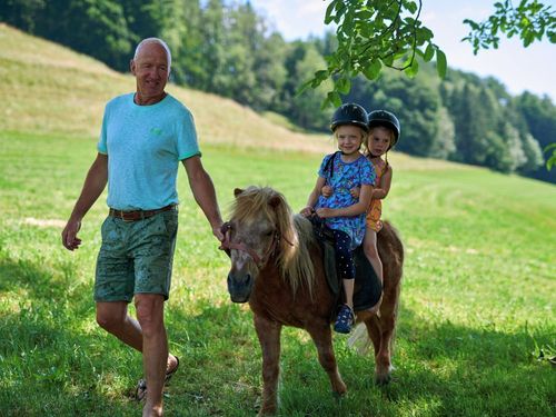 Geführtes Ponyreiten