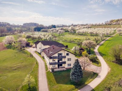 Unser Hof in der Kirschblüte