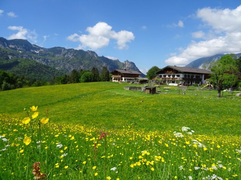 unser Bauernhof inmitten blühender Wiesen unser Bauernhof inmitten blühender Wiesen