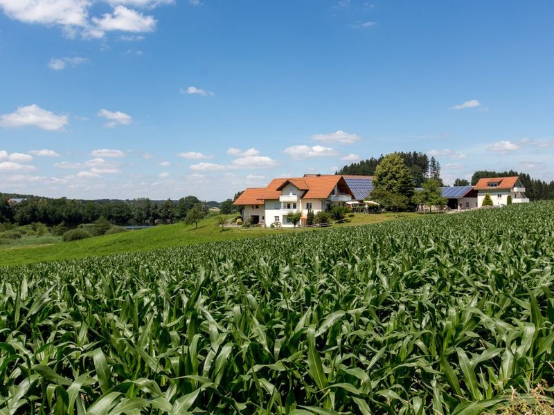 Blick auf Alfred´s Ferienbauernhof Blick auf Alfred´s Ferienbauernhof