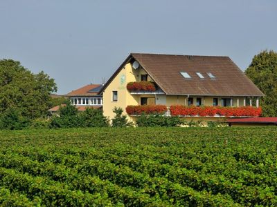 Idyllische Lage in den Weinbergen