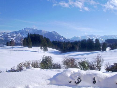 Bei uns im Winter