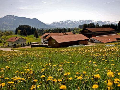 Bei uns im Frühling