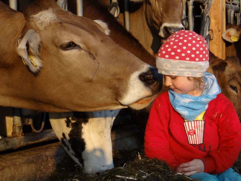 Tiere hautnah erleben Tiere hautnah erleben