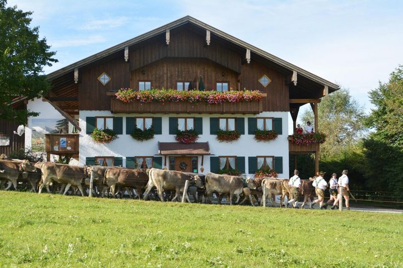 scheibelehof scheibelehof