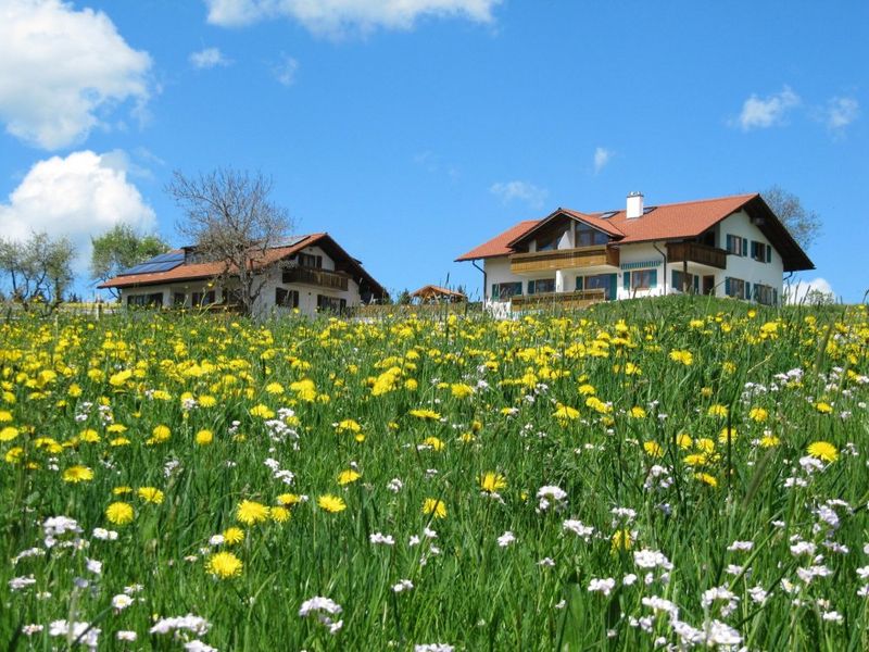 Frühling auf dem Ferienhof Günther Frühling auf dem Ferienhof Günther