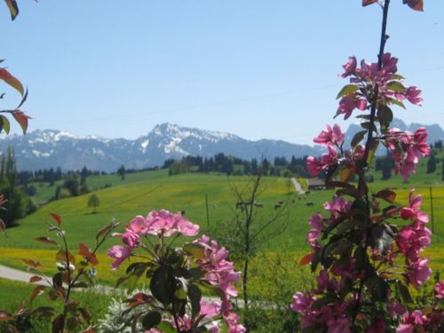 Gartenaussicht Gartenaussicht
