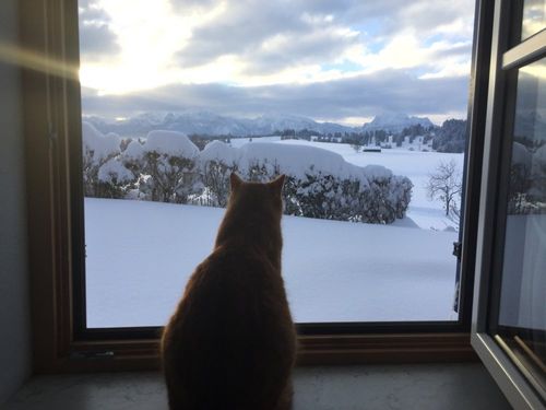Aussicht Aussicht
