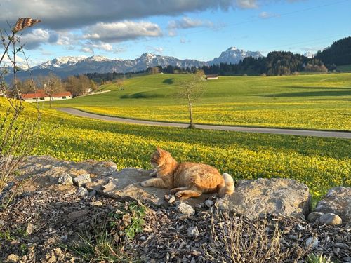 Aussicht Aussicht