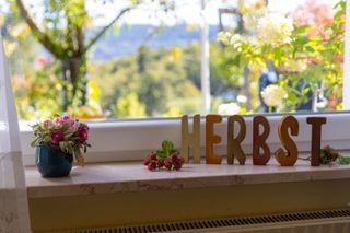 Aussicht in den Garten