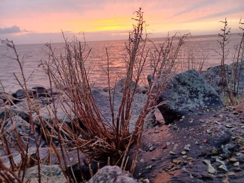 Winterwelt am Wasser Winterwelt am Wasser