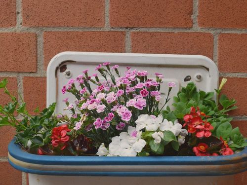 Blumendeko