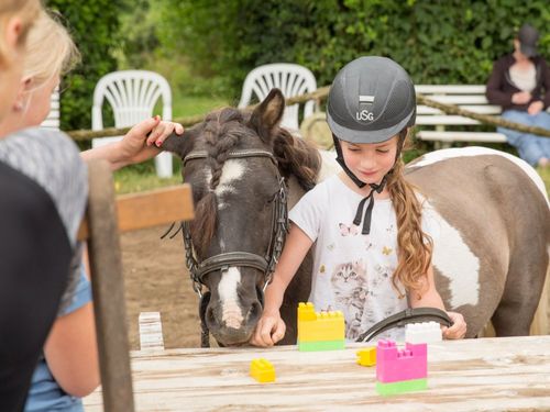 Ponyreiten Ponyreiten
