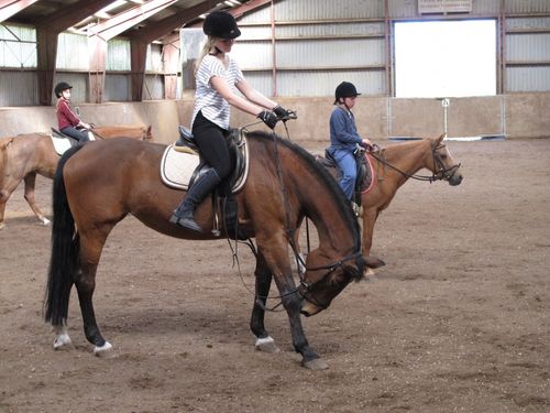 Auf Osterbunsbuell qualifiziert Reiten lernen