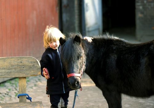 Reiten Ostsee Ferienhof Osterbunsbüll