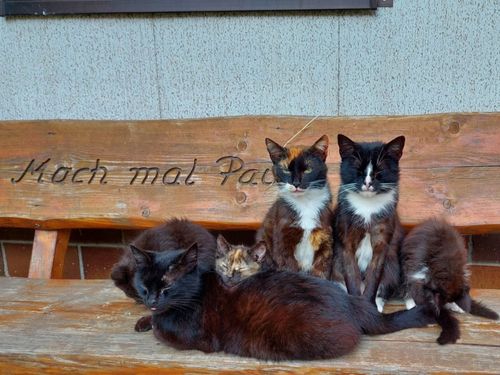 Mach mal Pause Mach mal Pause