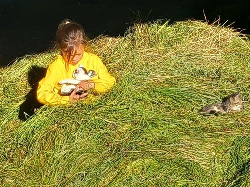 Geborgenheit im Gras Geborgenheit im Gras