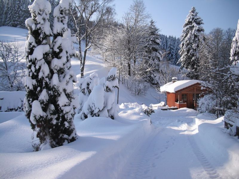 16.12.2010 16.12.2010