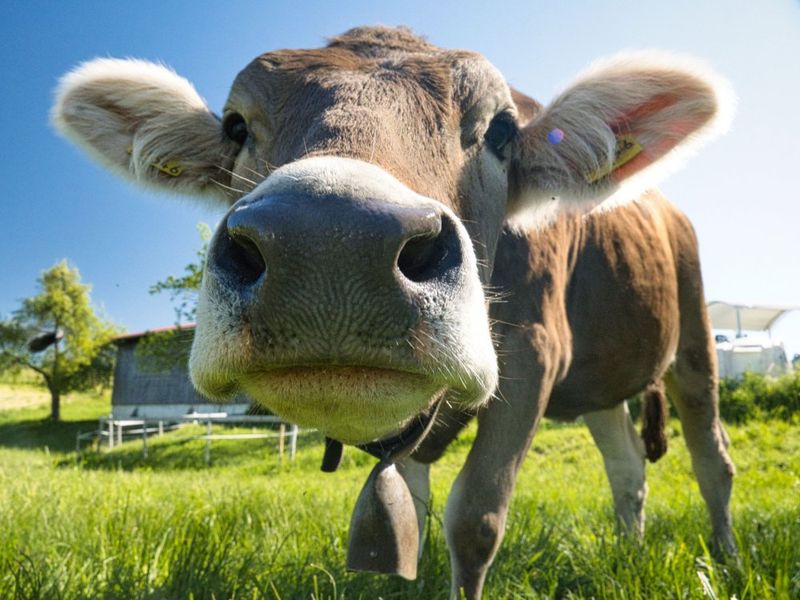 Neugierig geworden? Neugierig geworden?