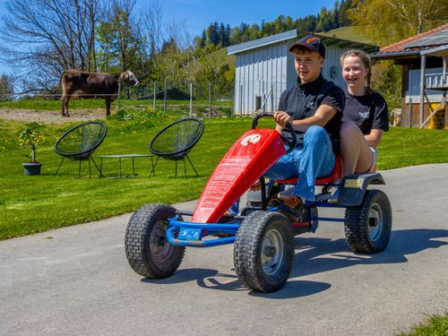Spielespaß am Biohof Mayer Spielespaß am Biohof Mayer